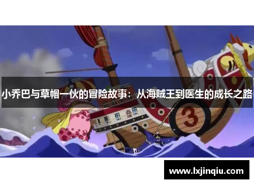 小乔巴与草帽一伙的冒险故事：从海贼王到医生的成长之路