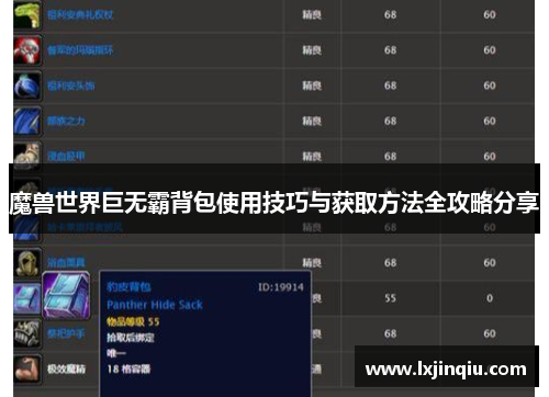 魔兽世界巨无霸背包使用技巧与获取方法全攻略分享